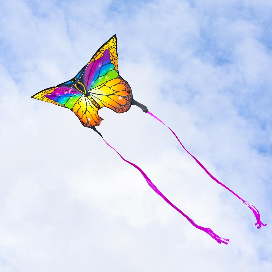 Kite Flying Store 11 Kite Flying Store -Kite Flying Store HQButterflyRainbow3